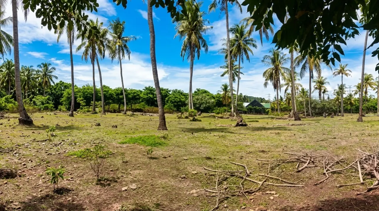 Dijual ; Ready Tanah Kebun 10 Hektar (Bisa Beli Sebagian) di Durung Krueng Raya