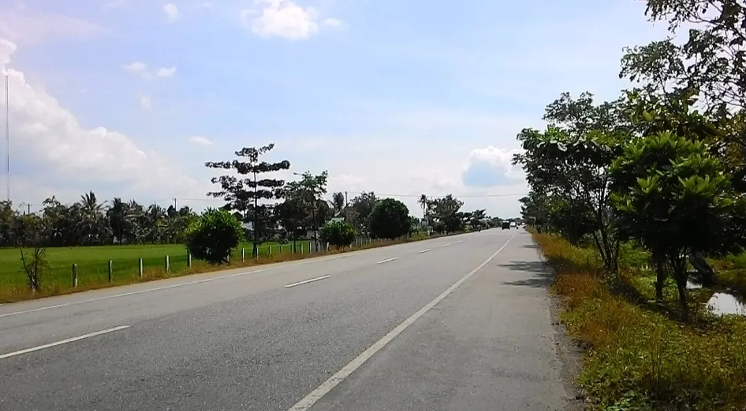 Dijual Tanah Sawah 3.140 m2 Posisi Strategis Depan Jalan Banda Aceh - Medan di Ulim Pidie Jaya
