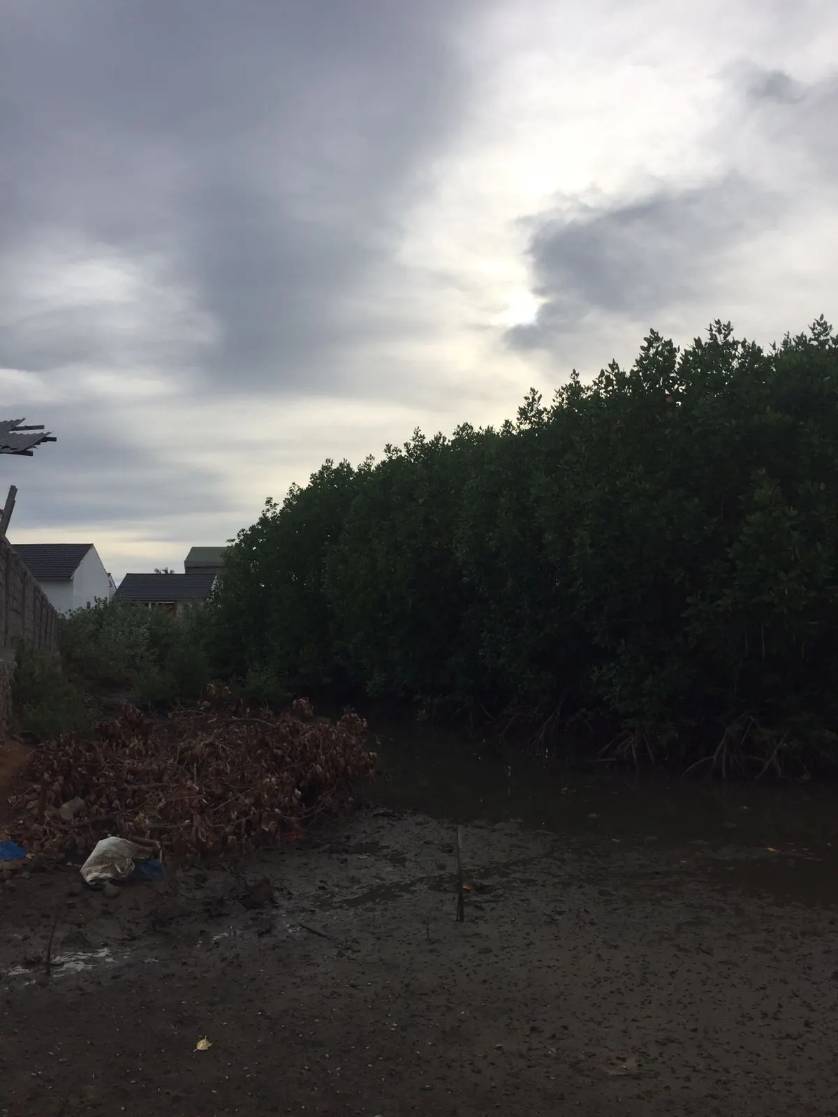Dijual Tanah Total 8.000 m2 Dekat Griya Atlanta Alue Naga Banda Aceh ; Harga 250 Ribu per Meter