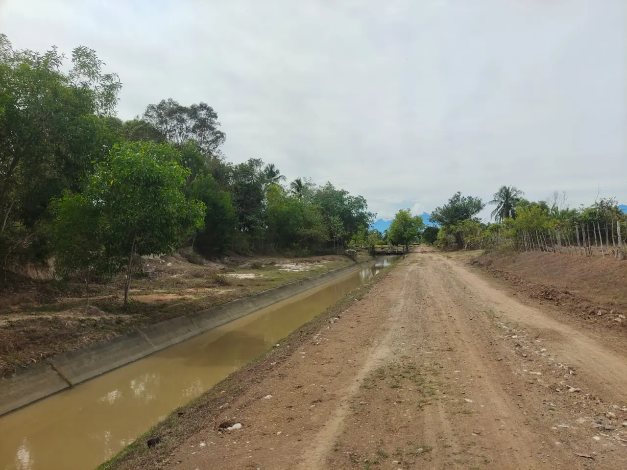 Dijual Tanah Sawah 1.989 m2 Dekat Kawasan Pengembangan Bandara Sultan Iskandar Muda Blang Bintang Aceh Besar