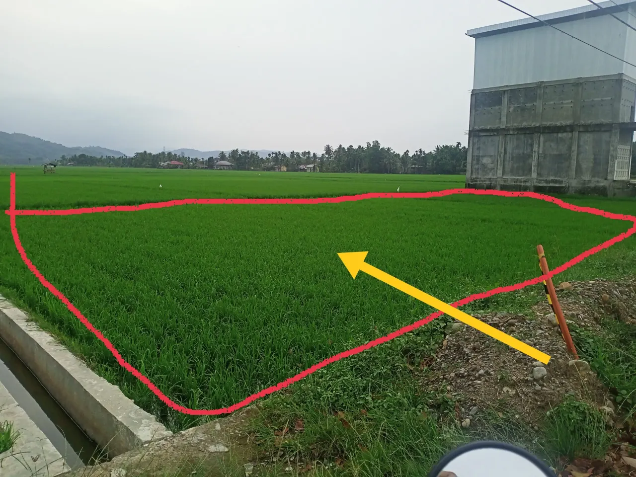 JUAL CEPAT TANAH SAWAH SHM, BISA UNTUK RUKO, DAN TEMPAT USAHA