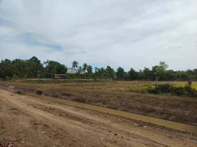 Dijual Tanah Sawah 1.989 m2 Dekat Kawasan Pengembangan Bandara Sultan Iskandar Muda Blang Bintang Aceh Besar