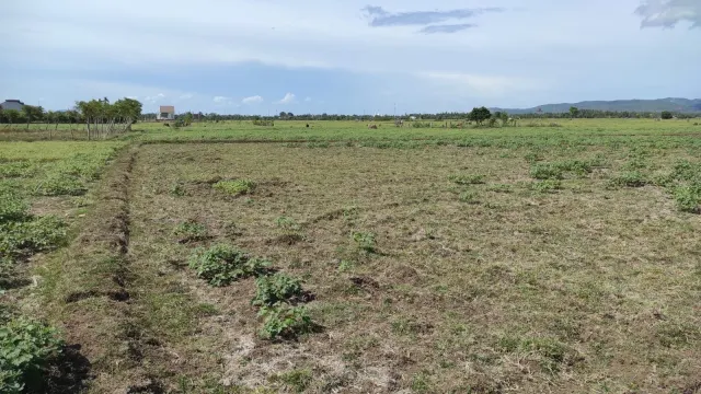 Dijual Tanah Luas & Strategis 2.369 m2 di Limpok Aceh Besar ; Dekat Kawasan Perencanaan Gerbang Tol Unsyiah
