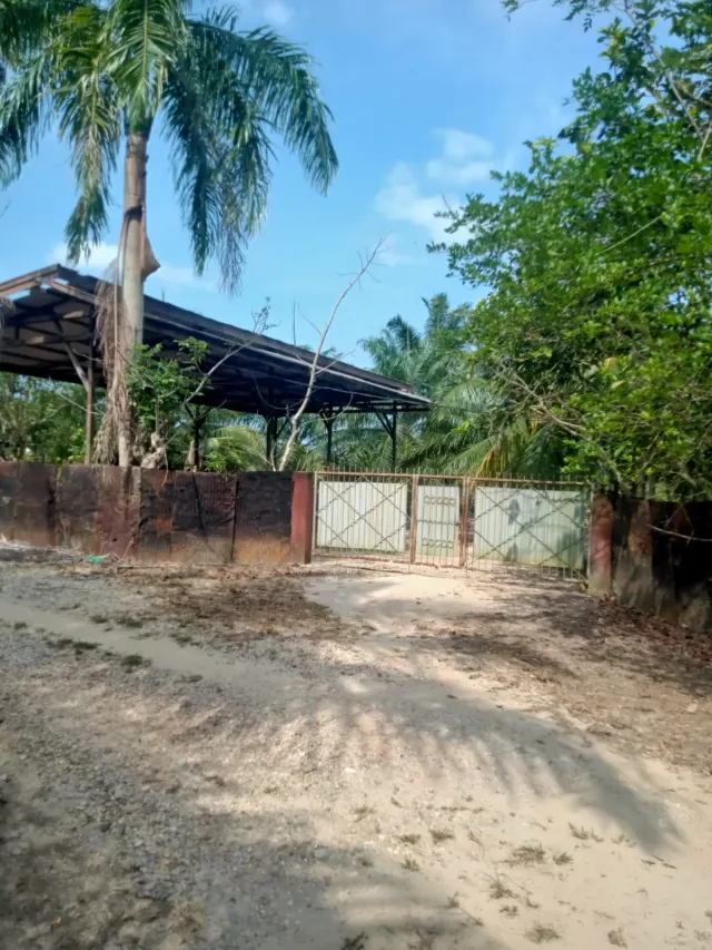 Dijual Kebun Sawit Produktif dan Tambak Intensif (Total 23,5 H) di Rantau Selamat Aceh Timur