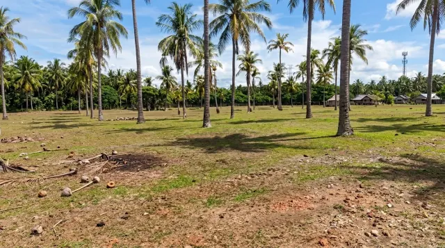 Dijual ; Ready Tanah Kebun 10 Hektar (Bisa Beli Sebagian) di Durung Krueng Raya