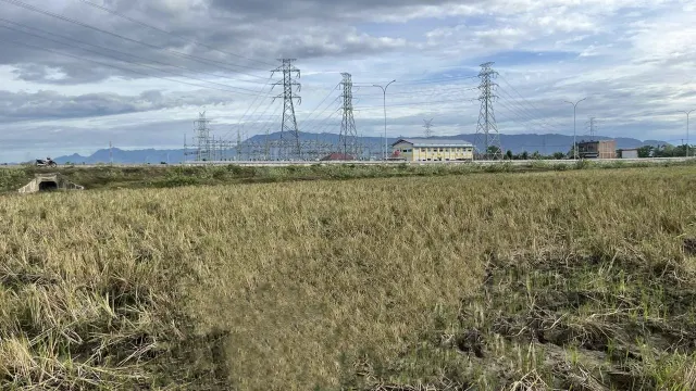 Dijual Tanah Sawah 2.000 m2 di Lam Ujong ; Posisi Sangat Strategis Dekat Tol Darussalam Aceh Besar