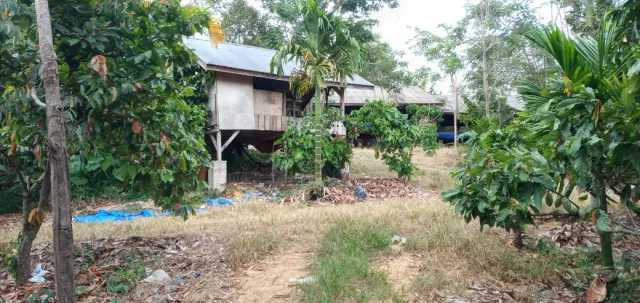Dijual Lahan Produktif 20 Hektar di Saree Aceh Besar ; Cocok Dijadikan Kawasan Agro-Wisata / Waterboom / Resto