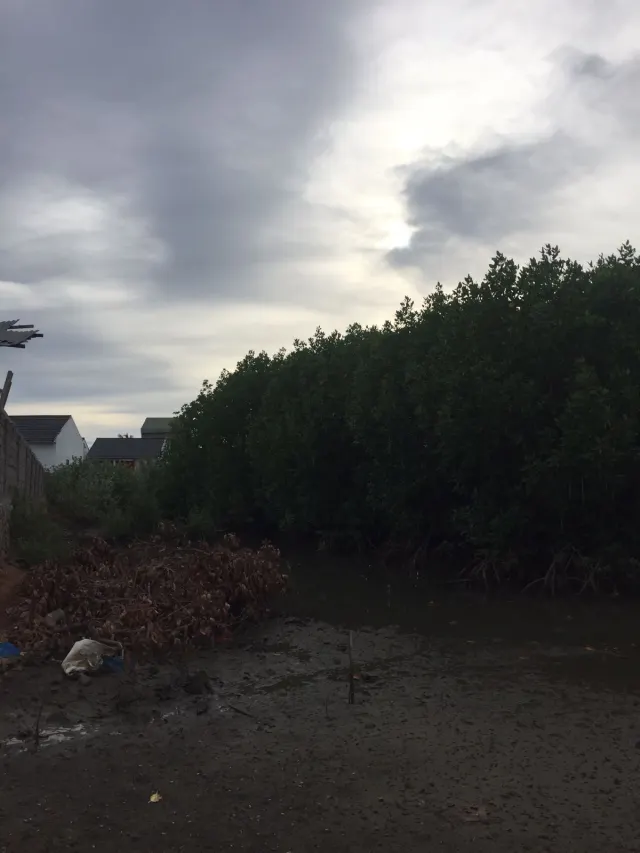 Dijual Tanah Total 8.000 m2 Dekat Griya Atlanta Alue Naga Banda Aceh ; Harga 250 Ribu per Meter